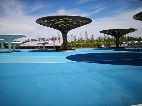 1558665091859704.jpg 201905245.jpg