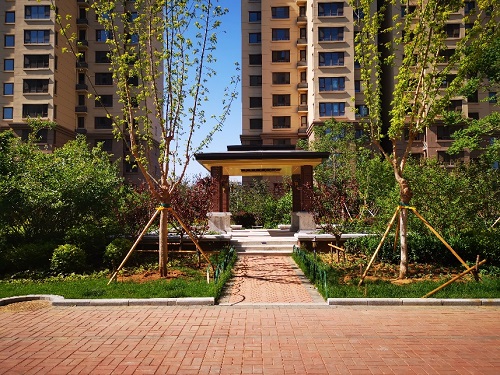 1558665127338161.jpg 201905246.jpg